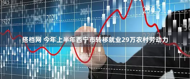 搭档网 今年上半年西宁市转移就业29万农村劳动力